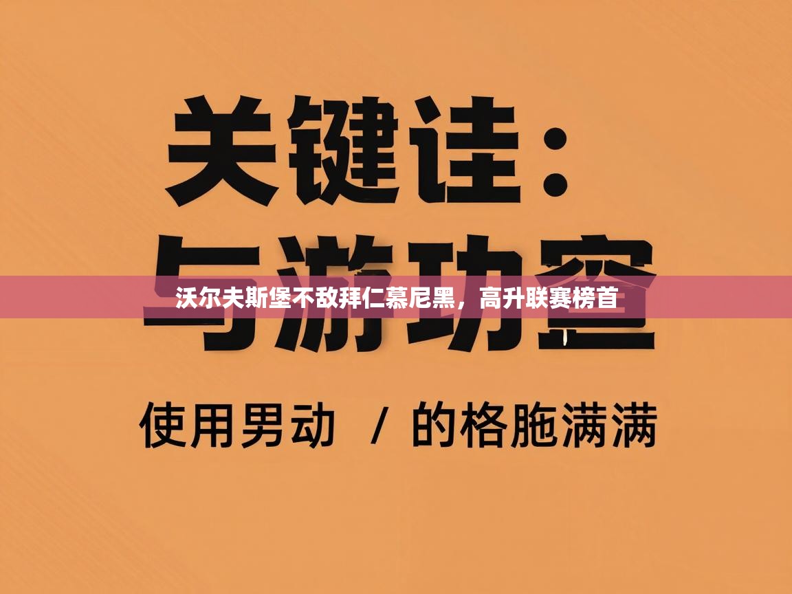 沃尔夫斯堡不敌拜仁慕尼黑，高升联赛榜首  第1张